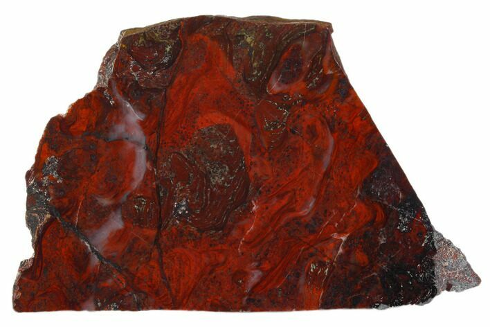 Polished Stromatolite (Collenia) Slab - Minnesota #129230